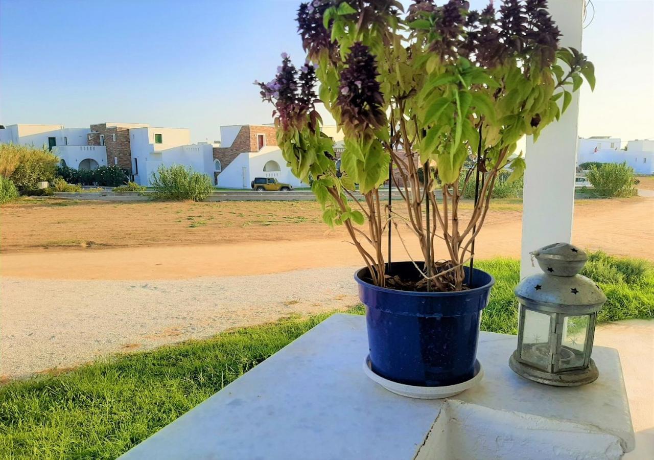 Joanna'S Rooms On The Beach Plaka  Exterior photo